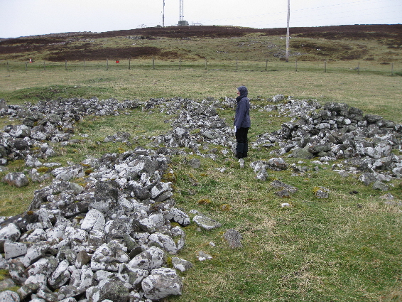 Sheep-fank pens at Auchdrumnahuagie